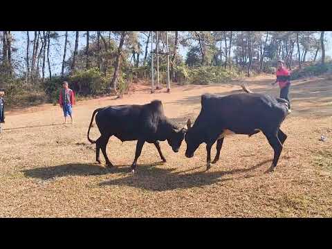 Masi dung ba dng rit ka sap ruh ki don ki ne te ym pt die re mo 