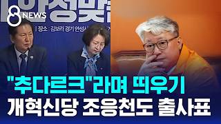 추다르크라며 띄우기..개혁신당 조응천도 출사표 / SBS 8뉴스