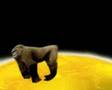 Gorilla In Space
