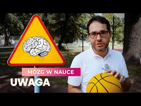 Attention | The Brain in Science