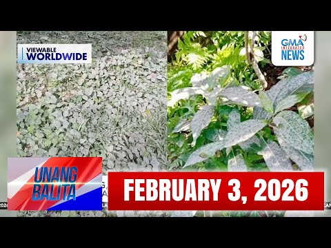 Unang Balita sa Unang Hirit: (Part 1) FEBRUARY 3, 2026 [HD]