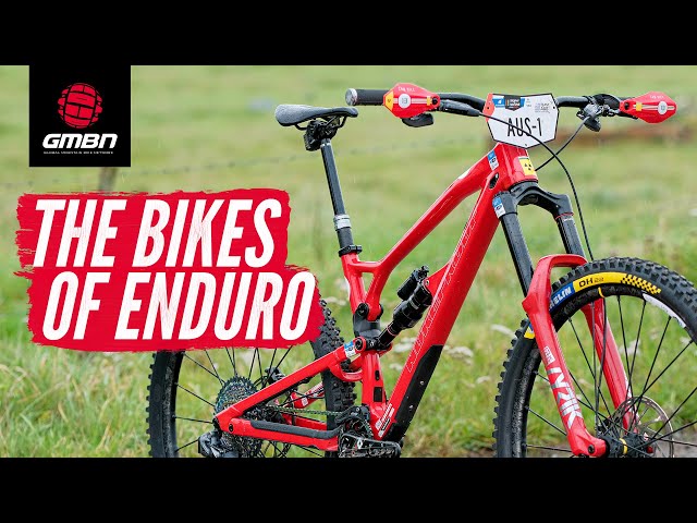 Nukeproof aus cheap
