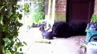 I'll be right here for you....!