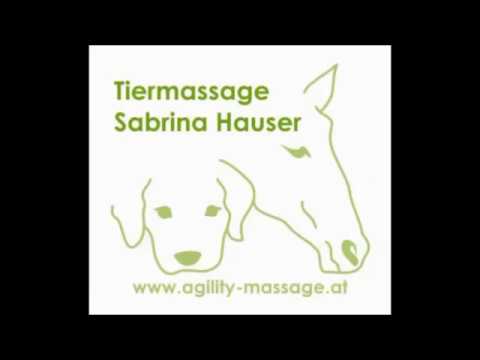 Agility Training - Sabrina Hauser & Layla
