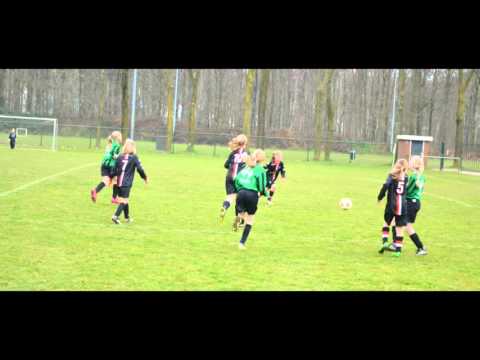 Sprinkhanen ME1   Viod ME1