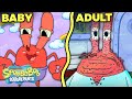Baby Krab To Krusty Krab Mr Krabs Age Timeline SpongeBob