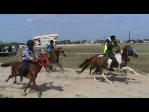 Akhir Kuda Padi C - 11 Mei 2013