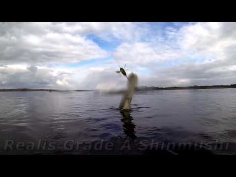 Воблеры DUO Realis Shinmushi