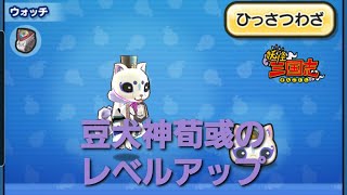 妖怪ウォッチぷにぷに・豆犬神荀彧のレベルアップをしました。