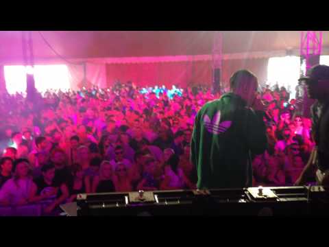 Phantasy b2b Nicky BM with Skibadee b2b Shabba D at United Festival. End of set