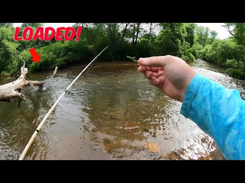 FISHING a Loaded Creek with TROUT MAGNETS! Failed CHALLENGE..