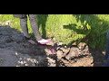 Watch Daisy En Denise Barry There Heels With Their Bare Feet Don T Forget To Like And Sub