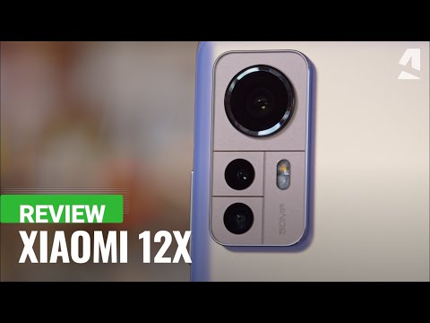 Xiaomi 12X 8GB+128GB, pilkas