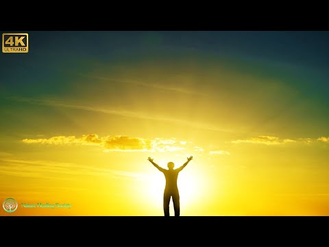 GOOD MORNING MUSIC ➤ 528Hz Positive Energy Healing Music - Have a Great Day & Stress Down - 4K