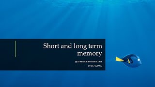 Short Term and Long Term Memory