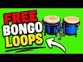Free Bongo Loops PROVIDED BY STAYONBEAT