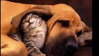 Sole Giménez - Toda una vida