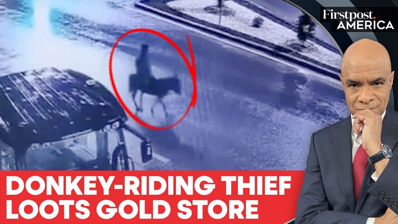 Turkey: Man Steals Gold Jewellery in Kayseri, Flees on Donkey | Firstpost America  
