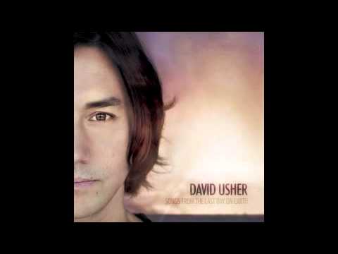 Burning Bridges - David Usher