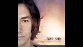 Burning Bridges - David Usher