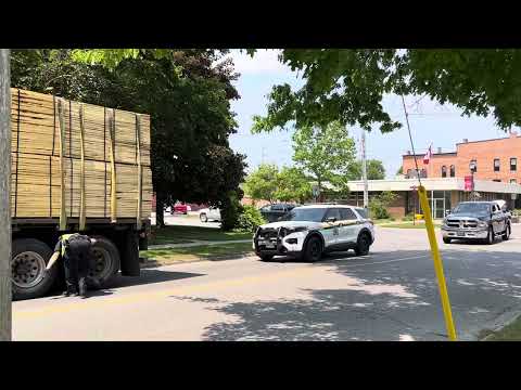 MTO officer completely ignores my camera 👮🔥 #chatham #copwatch