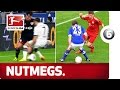 Nutmeg Compilation - Advent Calendar 2015 Number 6
