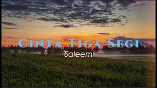Download lagu Cinta Tiga Segi - Saleem (Lirik Video) mp3