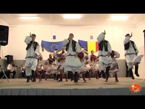 Ansamblul Doina Crisului Ineu