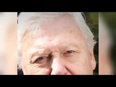 David Attenborough’s gone on a bender