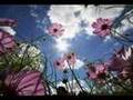 Richard Clayderman - Love song in winter 