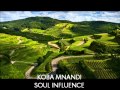 Soul Influence