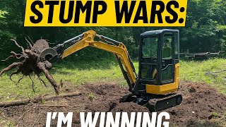 Stumps, Brush – Just Another Day at the Property