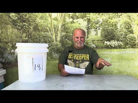 Find Your Perfect Swarm Trap Size - Beekeeping