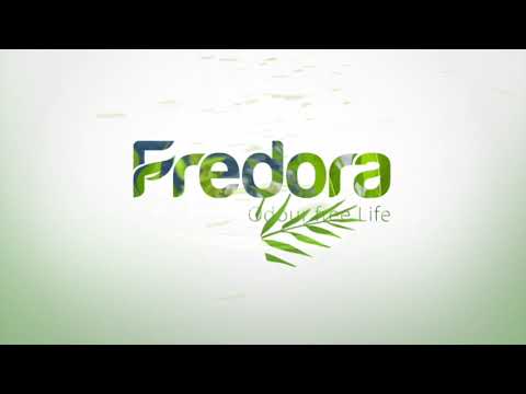 Strong Fredora Foot Deo Powder, For Personal, Packaging Size: 90g