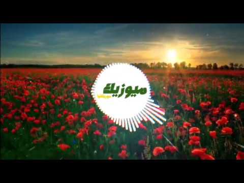 Ely barick & Sidi Kane & Hamzo Bryn - N3ICHOU (Mauritania Music 2019)