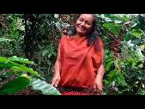 Documental Voces del campo Huabal Jaen Cajamarca