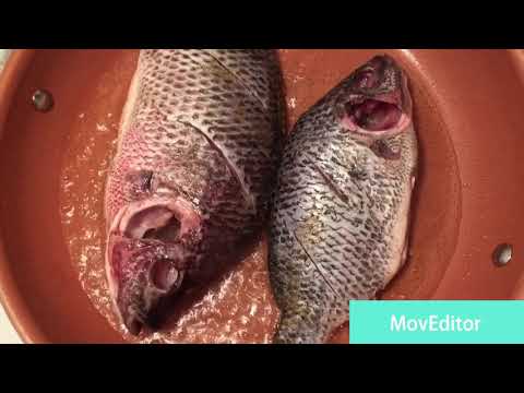Pan fried tilapia with tomato sauce/Zambian food full video coming SOON