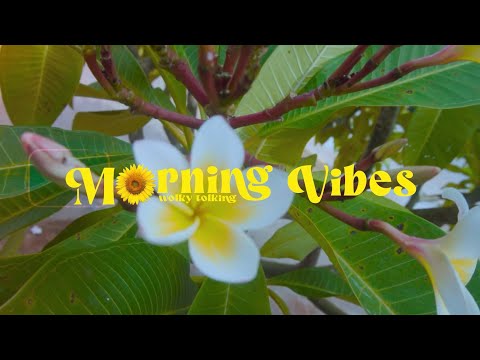 MORNING VIBES - WOLKY TOLKING ft DEBRA (OFFICIAL MV)