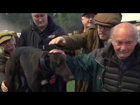 2019 DERBY - R3 HEAT 8 - T3 MAGICAL BALE