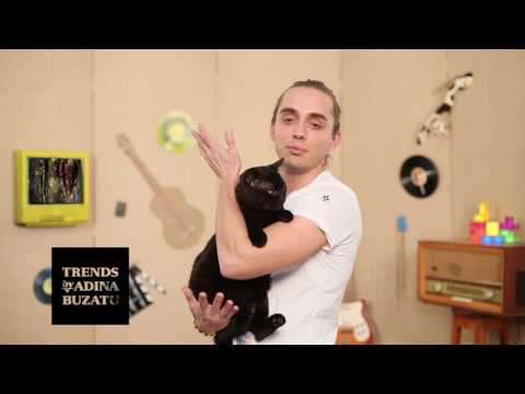 Cotofan: Damian & Brothers & Smiley, Andreea Balan - Uita-ma(Rework)