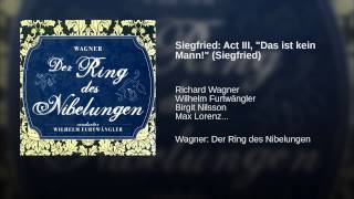Siegfried: Act III, "Das ist kein Mann!" (Siegfried)