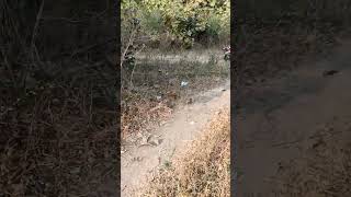 Agricultural Land for Sale in Hingna, Nagpur