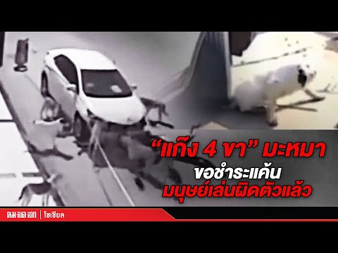 คลิกเพื่อดูคลิปวิดีโอ