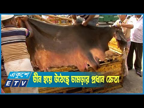 পরিবেশবান্ধব না হওয়ায় বাংলাদেশ থেকে চামড়া নিচ্ছে না পশ্চিমা ক্রেতারা