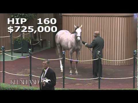 2014 September Yearling Sale - Hip 160 (Tapit-Pretty 'n Smart)