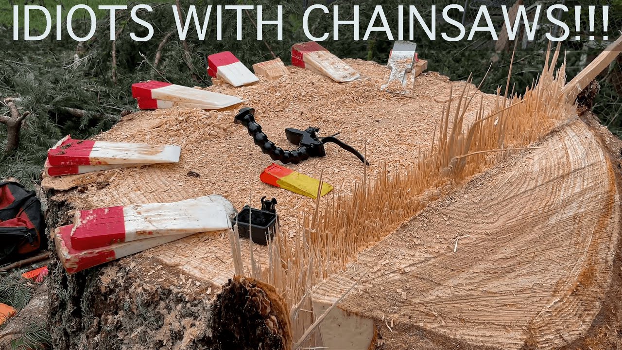 IDIOTS WITH CHAINSAWS!!! My First Tree Job as a Business Owner