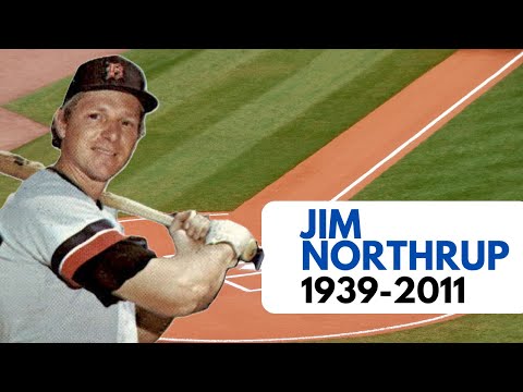The Silver Fox: Jim Northrup's Heroic Journey with the Detroit Tigers ⚾🏆