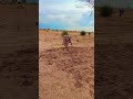 Xnxx Xxx Video Sex Porn Blue Film Videos