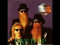 ZZTop "If I Could Only Flag Her Down"