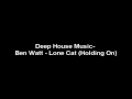 Deep House Music- Ben Watt - Lone Cat Holding ...